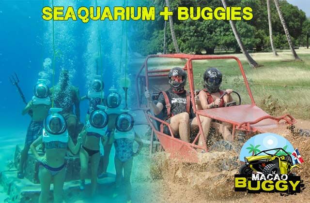SEAQUARIUM + BUGGIES